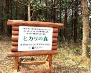 春と秋の恒例行事！「ヒカリの森🌳」で森林保全活動